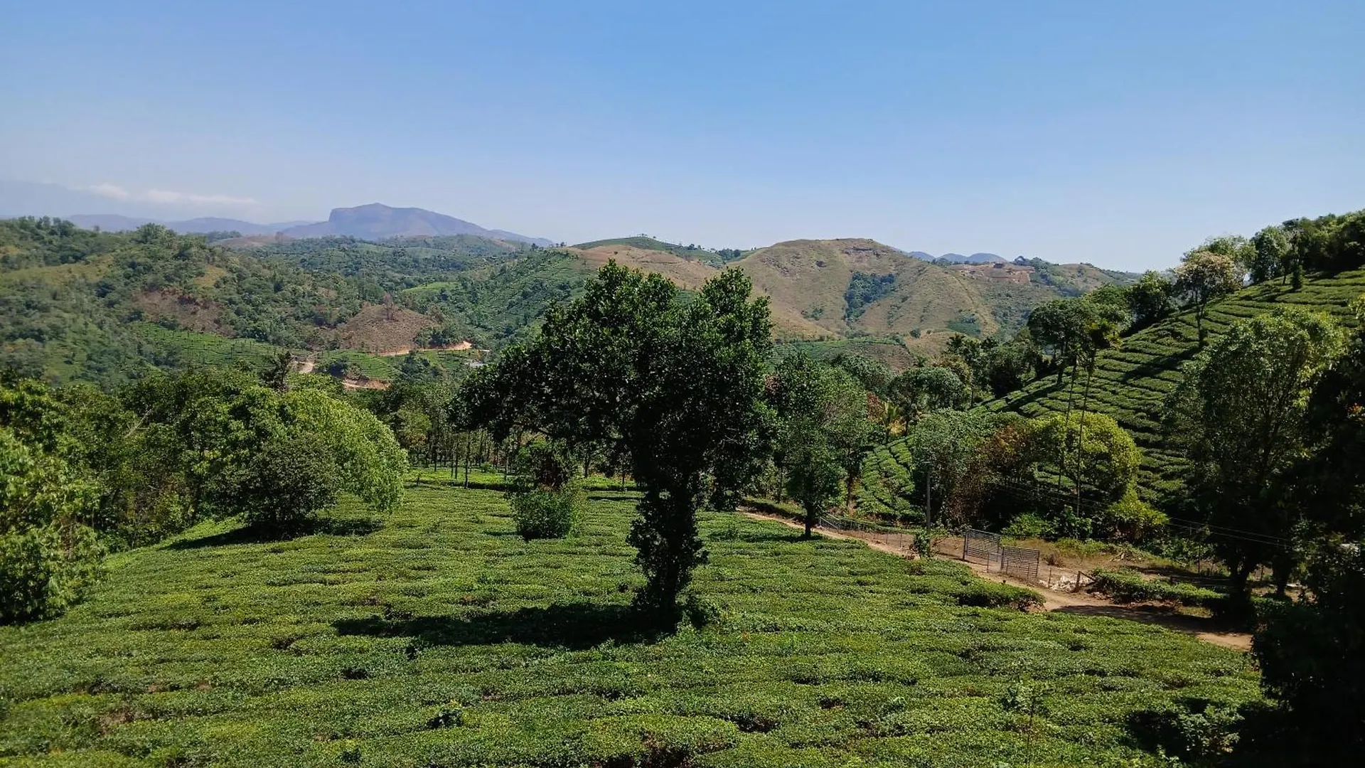 Vagamon Hill Palace Resort Three Bedroom Villa India