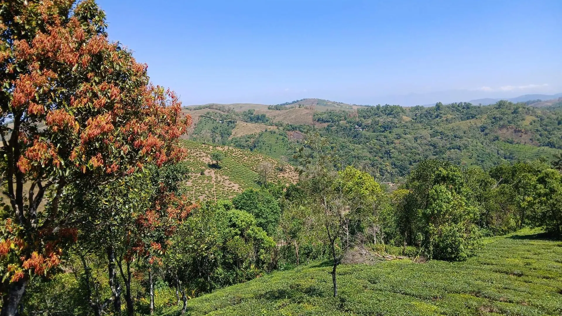 Vagamon Hill Palace Resort Three Bedroom Villa 0*,  India