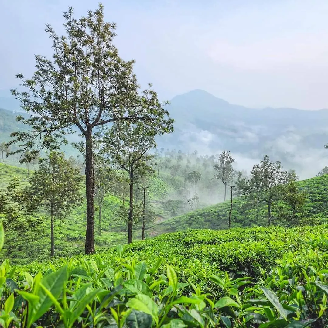 Vagamon Hill Palace Resort Three Bedroom Villa 0*,  Indie